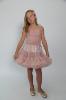 Picture of Angel's Face Tutu Pettiskirt - Shell Pink