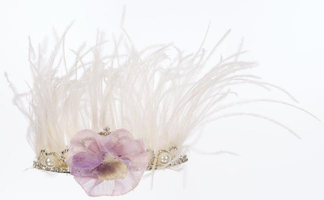 Picture of Feathered Friend Crown Headband
