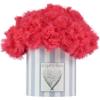 Picture of Angel's Face Tutu Pettiskirt Poppy Red