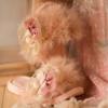 Picture of Meriche Alta Costura Dream Bonnie Vintage Style Slippers - Pink