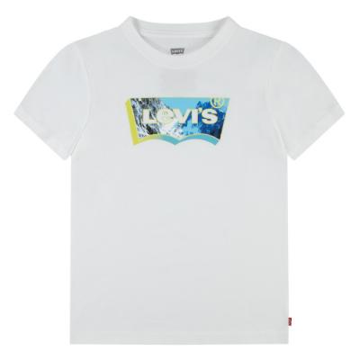 Picture of Levi's Boys Mountain Logo T-shirt - White 