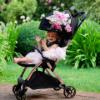 Picture of Monnalisa Leclerc Influencer Roses Stroller - Black Pink