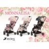 Picture of Monnalisa Leclerc Influencer Roses Stroller - Black Pink