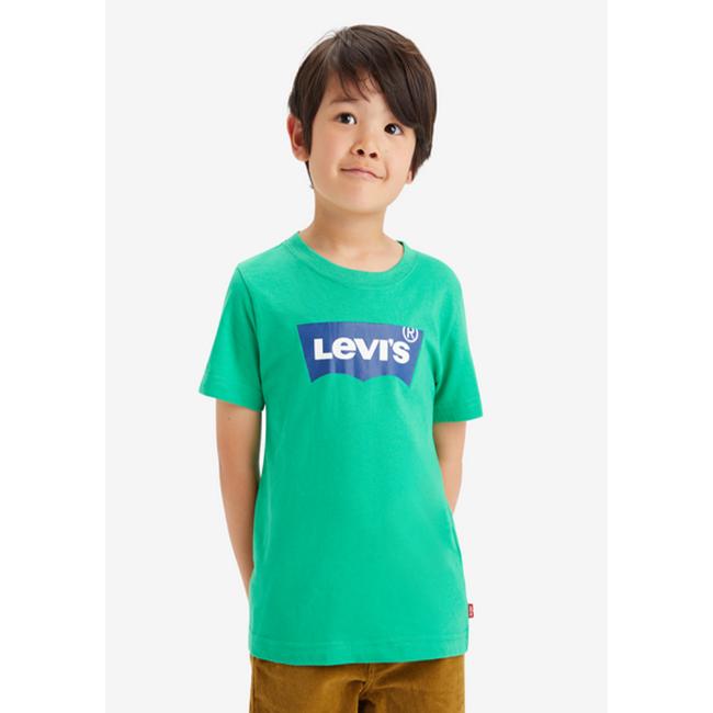 Picture of Levi's Boys Classic Logo T-shirt - Green