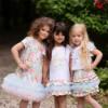 Picture of Daga Girls Find Roses In The Garden Print Tulle Hem Dress - Pink Blue