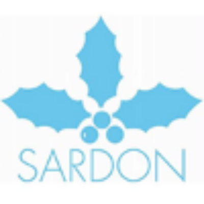 Picture of Sardon Rayas Beach Basket With Ruffle & Bow - Pale Blue