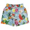 Picture of Rochy Boys Lemons Collection Swimshorts - Multicoloured