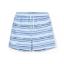 Picture of Mitch & Son Beyond Blue Fallon Stripe Swim Shorts - Sky Blue