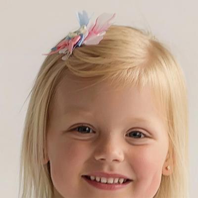 Picture of Daga Girls Flowers Hair Clip X 1 - Pink Blue