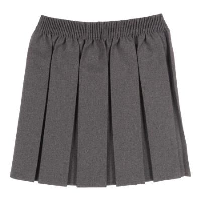 Picture of Schoolwear Girls Box Pleats Skirt - Grey