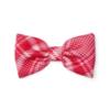 Picture of PRE ORDER A Dee Love Story Leighton Check Bow Hair Clip - Vibrant Red