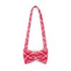 Picture of PRE ORDER A Dee Love Story Laura Check Bow Shape Handbag - Vibrant Red