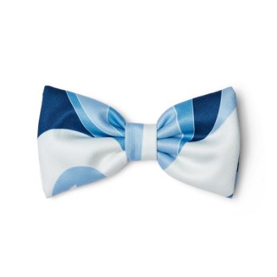 Picture of PRE ORDER A Dee Twilight Twirls Leighton Swirl Print Bow Hair Clip - Powder Blue