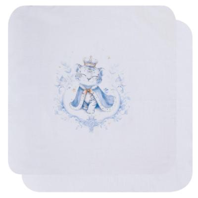 Picture of Sofija Baby Asim Collection Muslins Set X 2 - Blue