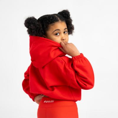 Picture of Bonini by A* Dee Aspire Logo Hoody - Vibrant Red