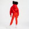 Picture of Bonini by A* Dee Aspire Logo Hoody - Vibrant Red
