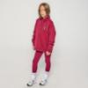 Picture of Ansandro Kids Activewear Funnel Neck Sweatshirt - Cherry