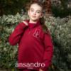 Picture of Ansandro Kids Activewear Funnel Neck Sweatshirt - Cherry