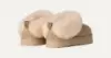 Picture of UGG Kids Tazzelle Slip On - Mustard Seed