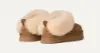 Picture of UGG Kids Tazzelle Slip On - Chestnut