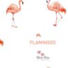 Picture of Meia Pata Girls Flamingos St. Barths Swimsuit - White Flamingo