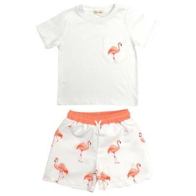 Picture of Meia Pata Boys Flamingos T-shirt & Swim Shorts Set X 2 - White Flamingo