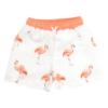 Picture of Meia Pata Boys Flamingos T-shirt & Swim Shorts Set X 2 - White Flamingo