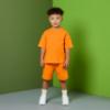 Picture of PRE ORDER Mitch & Son JNR Rocco Logo Sports Sock X 1 - Lime Sherbet