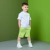 Picture of PRE ORDER Mitch & Son JNR Rocco Logo Sports Sock X 1 - Lime Sherbet