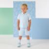 Picture of Mitch & Son Osiris Poly Polo Set X 2 -  Sky Blue