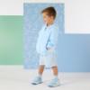 Picture of PRE ORDER Mitch & Son Oliver Hooded Jacket - Sky Blue