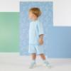 Picture of Mitch & Son Orlando Sweat Short Set X 2 -  Sky Blue