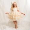 Picture of Caramelo Kids Girls Summer Puff Ball Sleeve Ruffle Dress & Headband Set X 2 - Champagne