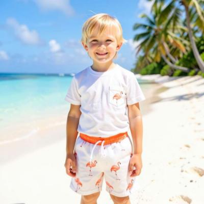 Picture of Meia Pata Boys Flamingos T-shirt & Swim Shorts Set X 2 - White Flamingo