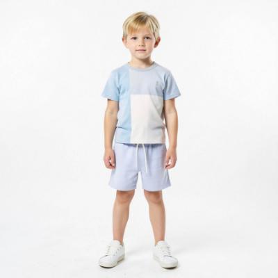 Picture of Caramelo Kids Boys Summer Colour Block Short Set X 2 - Sky Blue