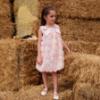 Picture of Deolinda Chic Girls Linda Dress With Tulle Flowers - Pink Ivory
