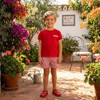 Picture of Rapife Summer Boys Top & Bermuda Shorts Set X 2 - Red Check