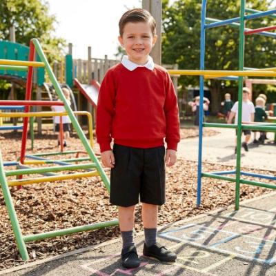 Picture of Schoolwear Unisex Crew Neck Sweatshirt - Red