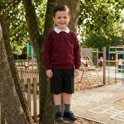 Picture of Schoolwear Unisex Crew Neck Sweatshirt - Maroon